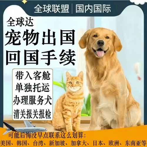 广元市宠物托运到柬埔寨宠物入境规定和要求