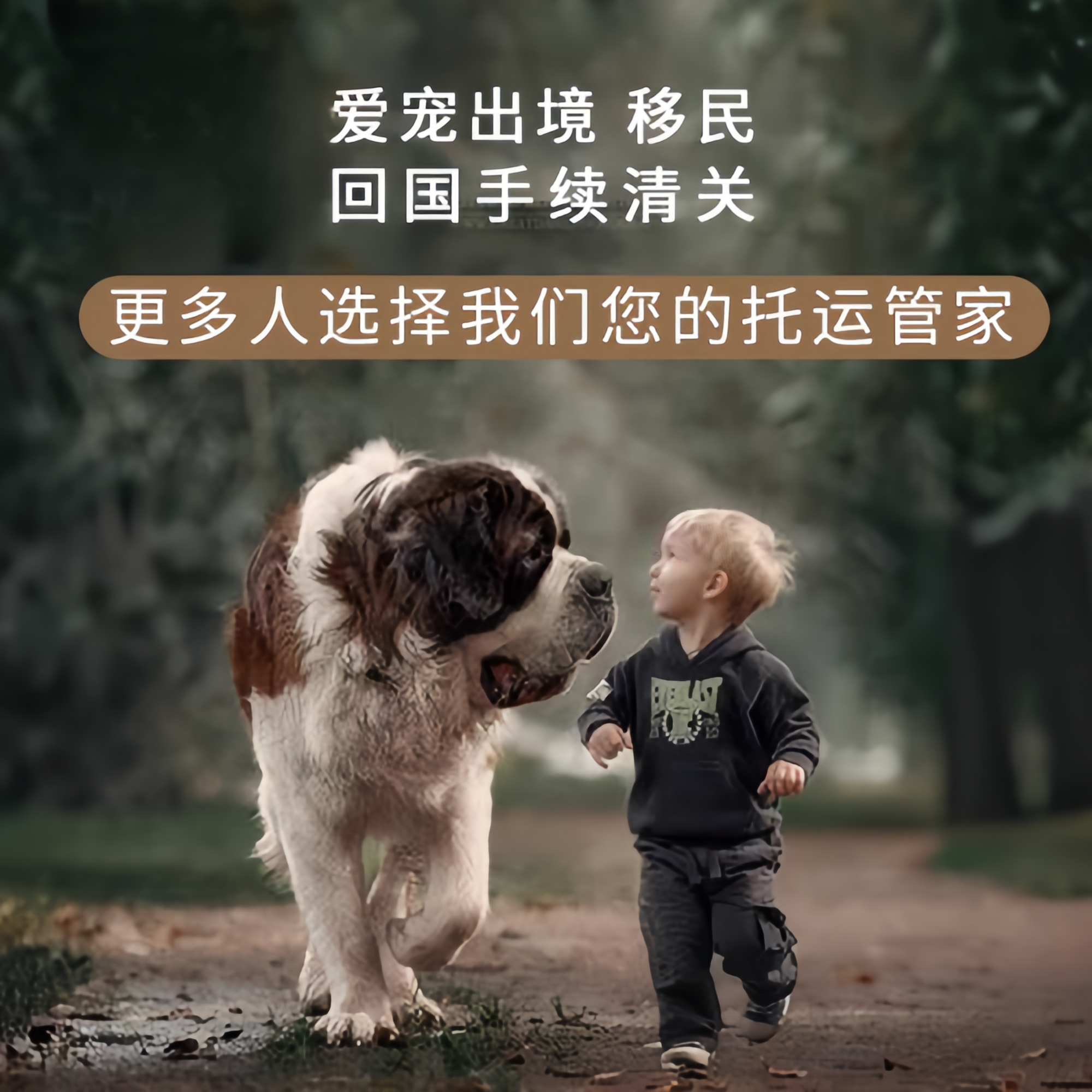 满财广元市宠物全球达宠物托运在遵守入境目的地政策的条件