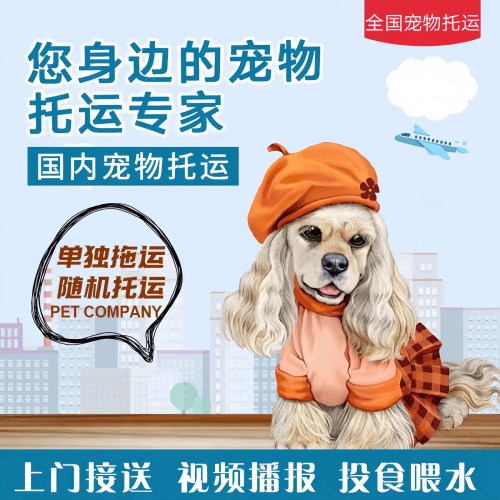 满财广元市宠物全球达宠物托运作为专业的宠物运输代理机构